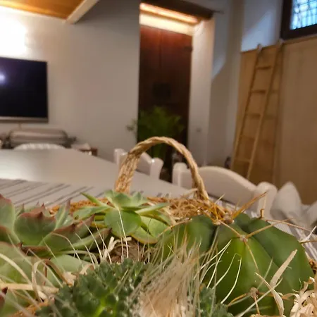 Lägenhet Dimora Sant'egidio Verona